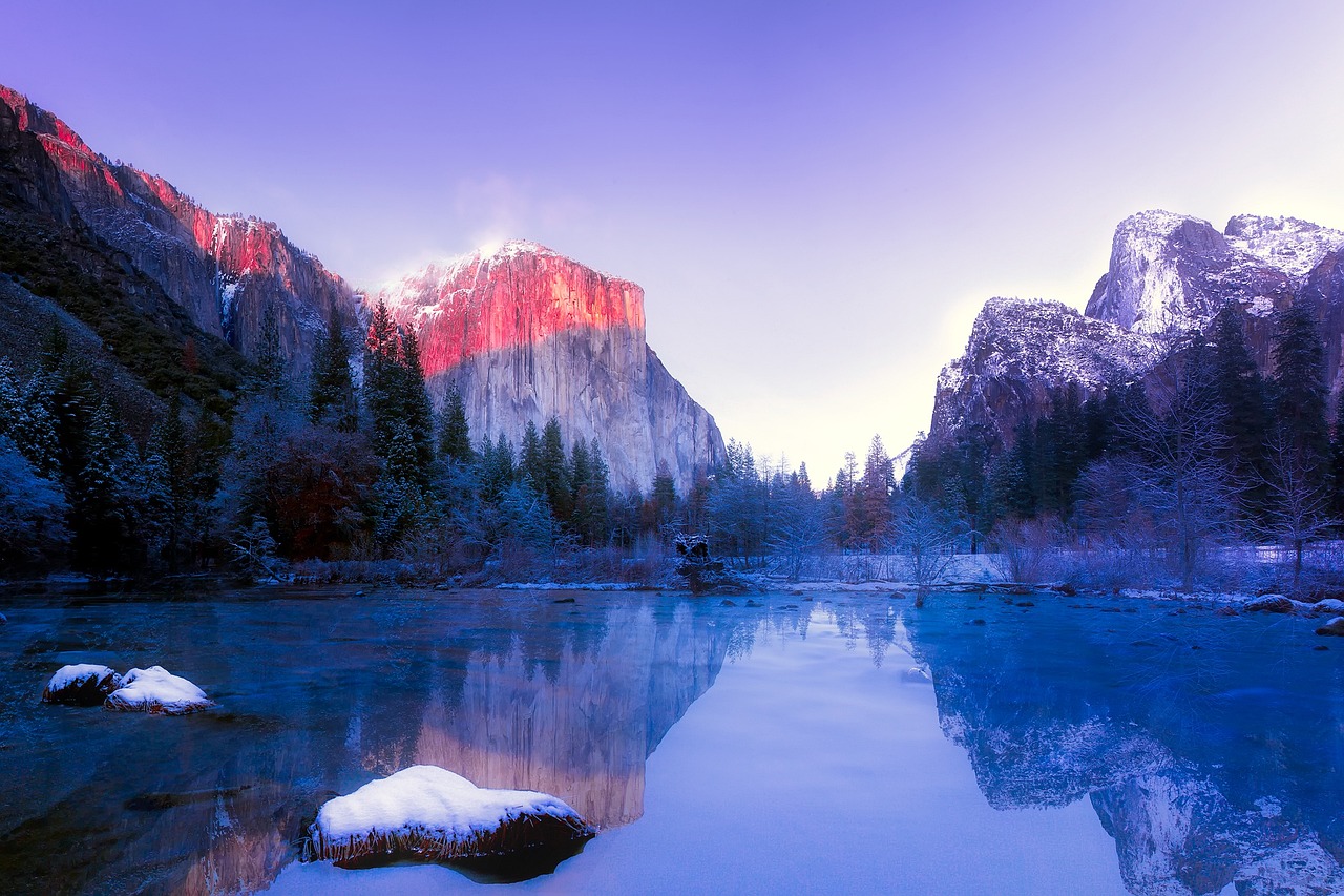 Snow-covered pine trees and granite cliffs in Yosemite National Park during winter.