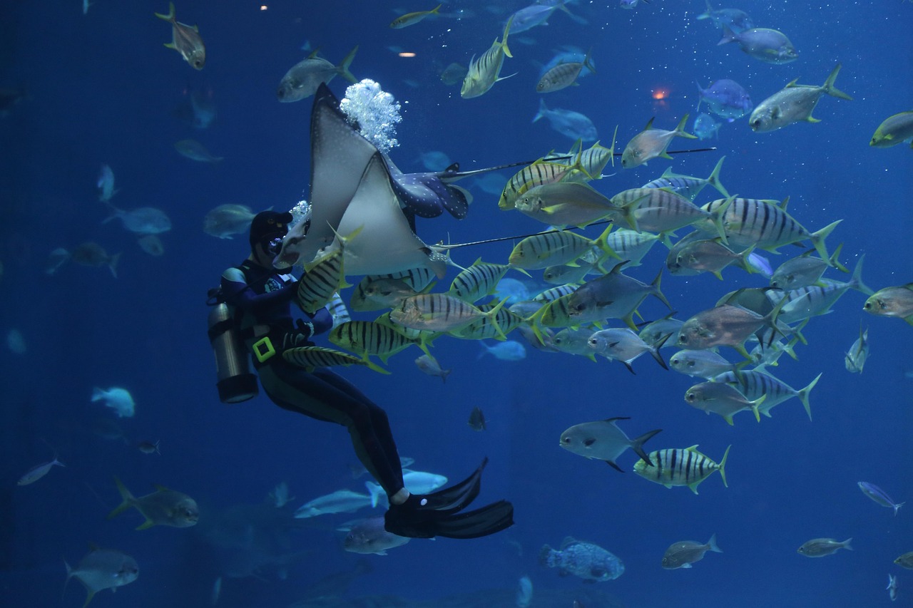 A diver hovering perfectly still above the reef without touching the coral.