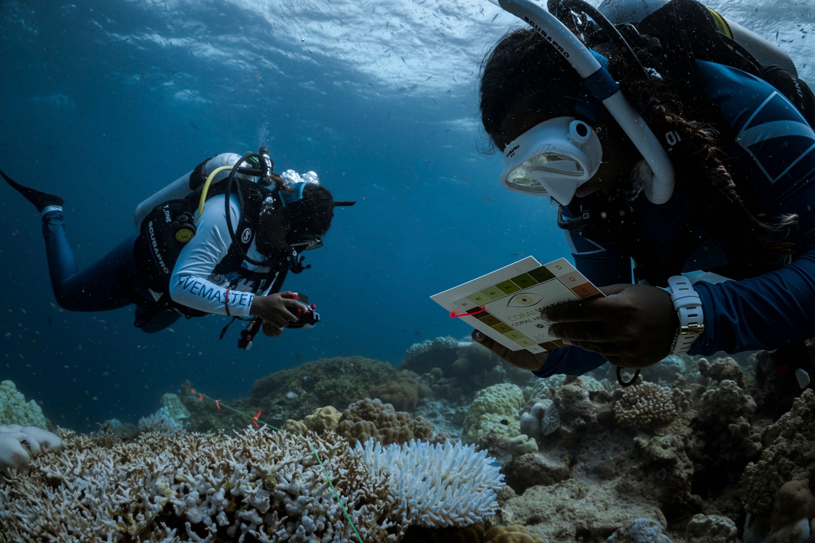 An adult female diver and a younger diver exploring the ocean floor together.