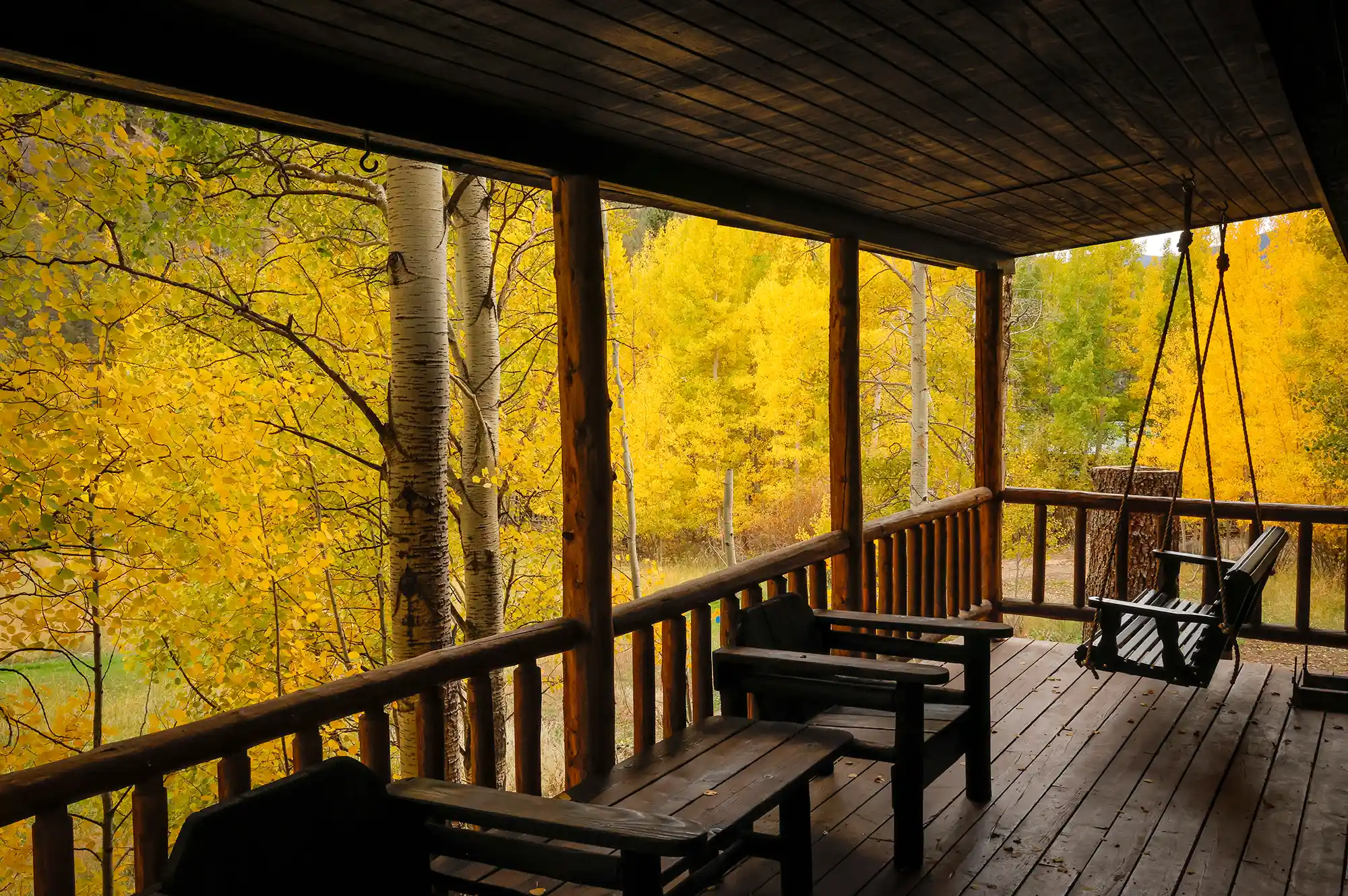 A porch with chairs and a swing looking out over golden autumn trees in the mountains.