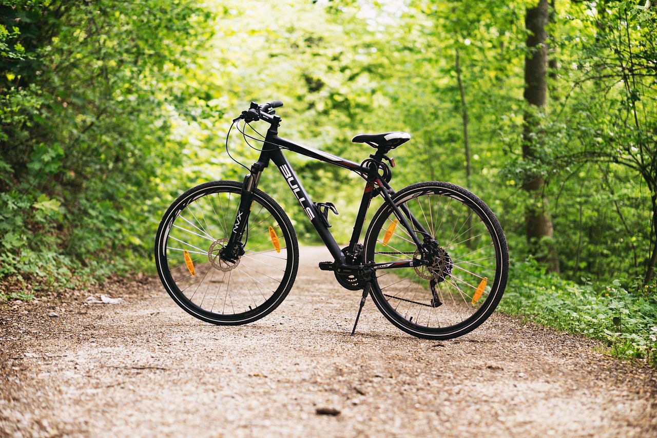 Bicycle with a basket parked near a coastal bike path