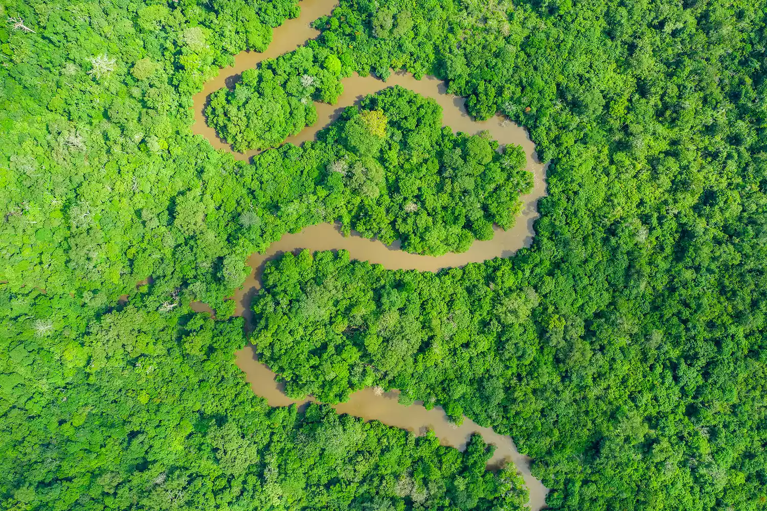 An aerial view of a winding river cutting through the deep green jungles of the Congo Basin.