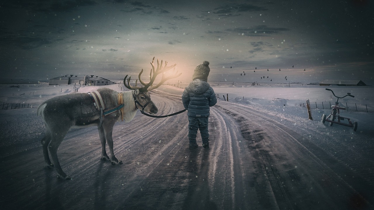 A traditional reindeer-drawn sleigh moving through a thick, snow-covered pine forest in Finland