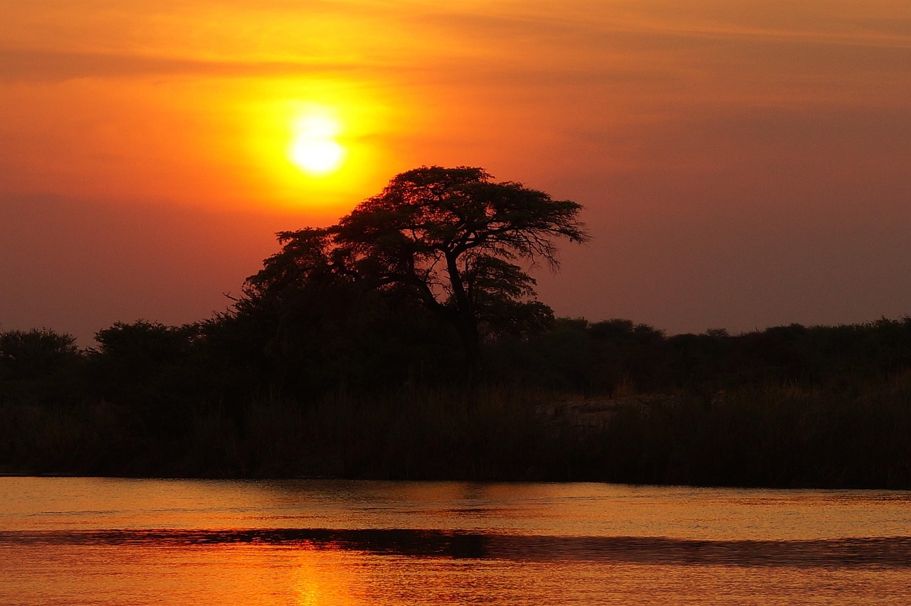 A traditional mokoro canoe gliding through clear water and lily pads in the Okavango Delta