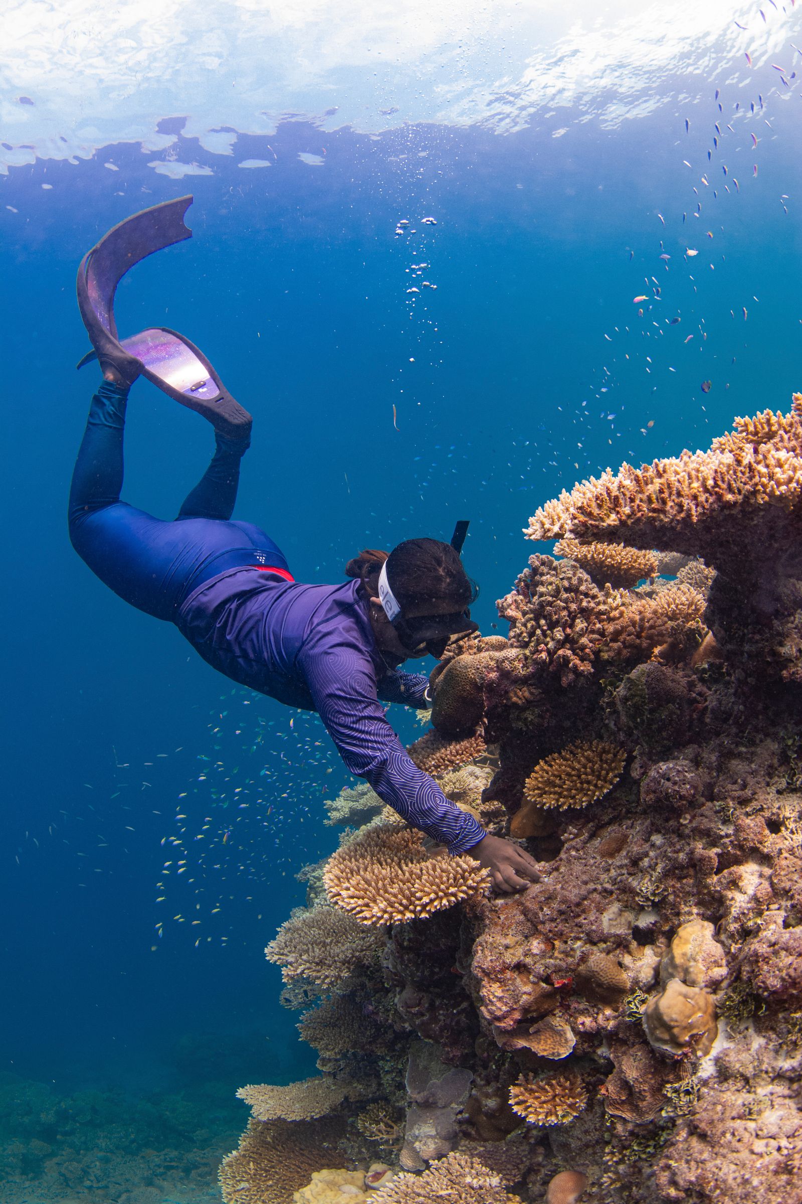 A diver inspecting a healthy coral reef system teeming with sea life.