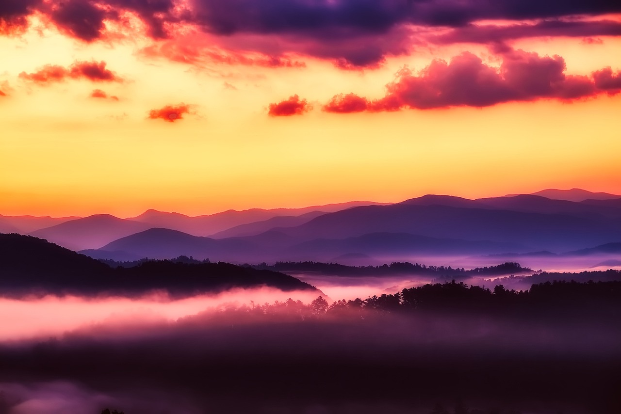Layers of blue-toned mountain ridges covered in thick forest and morning mist.