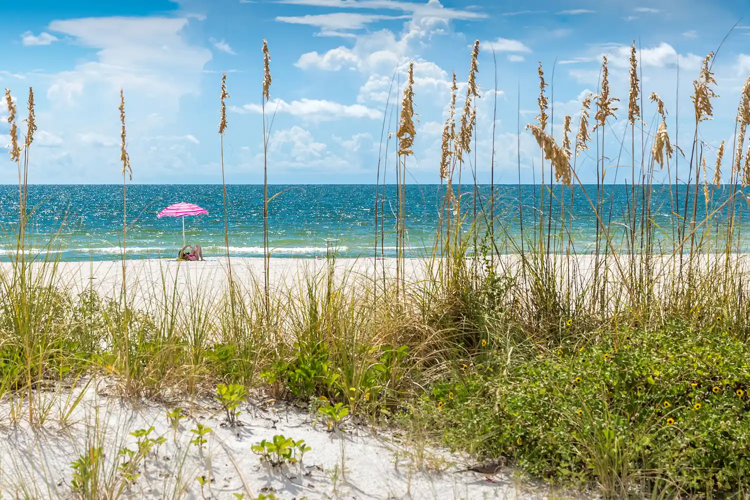 A pink umbrella on a sandy beach in St. Pete, Florida.