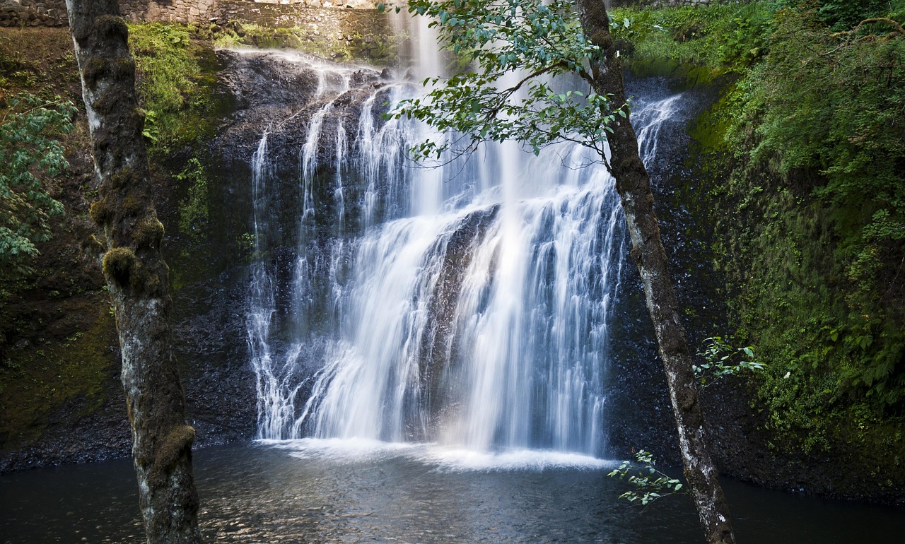 A majestic waterfall cascading over a mossy cliff in a dense green forest.