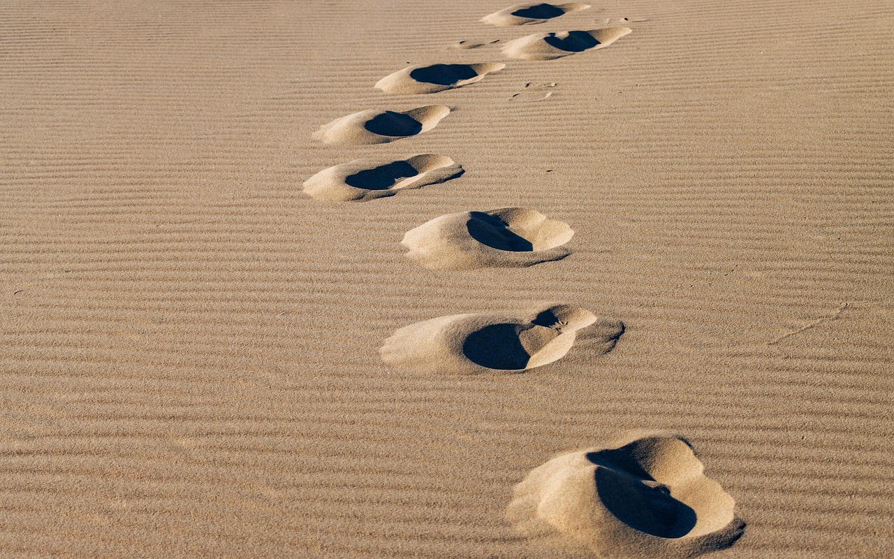 A scenic road winding along the ocean coastline during summer.